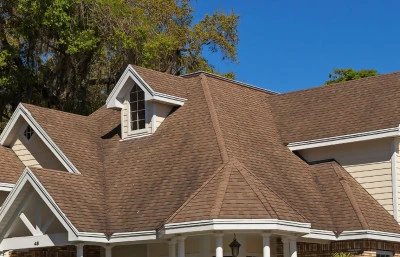 Professional Roof Cleaning￼