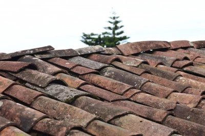 Signs Your Roof Needs to be Repaired