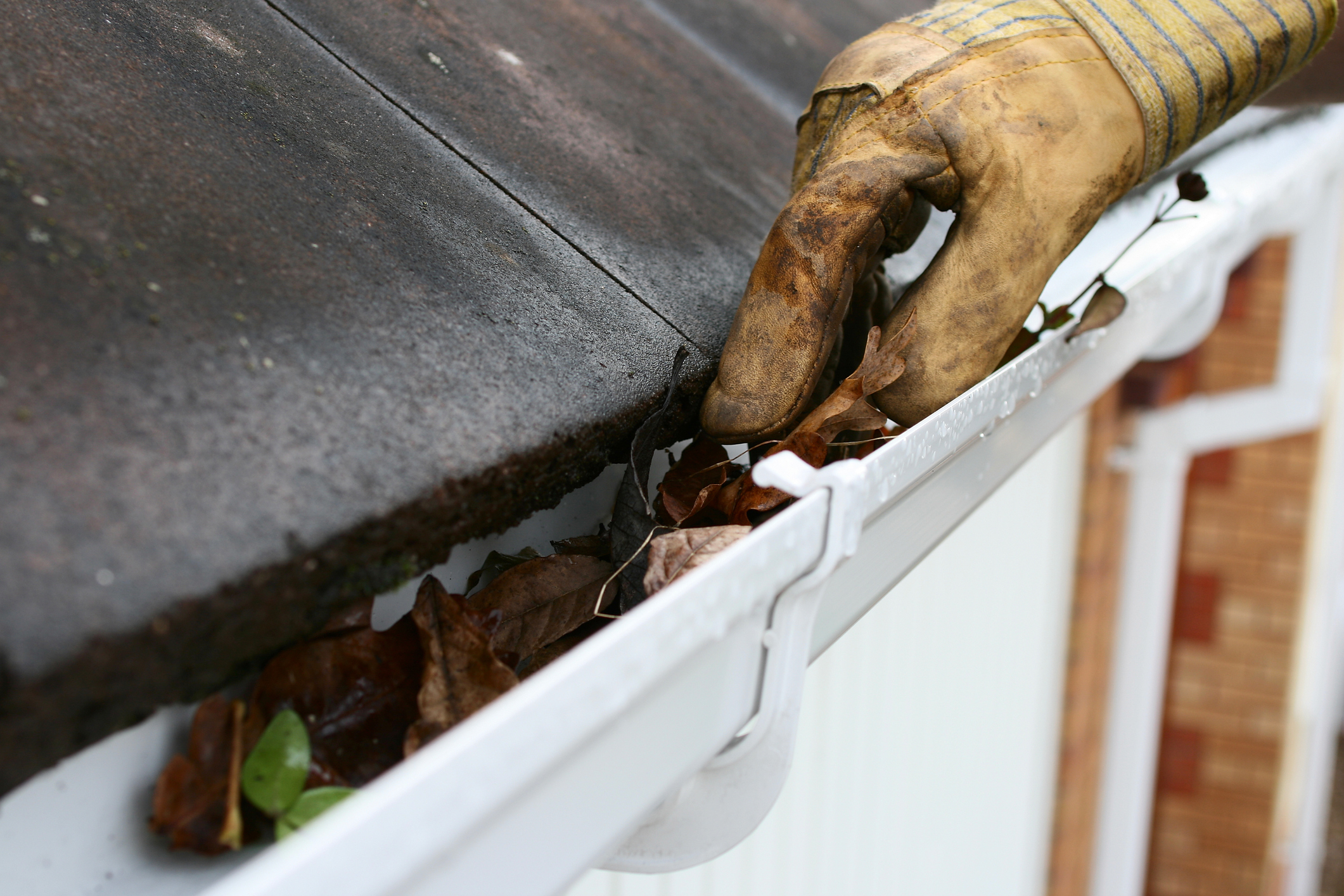 Cleaning your gutters is one essential part of roof maintenance