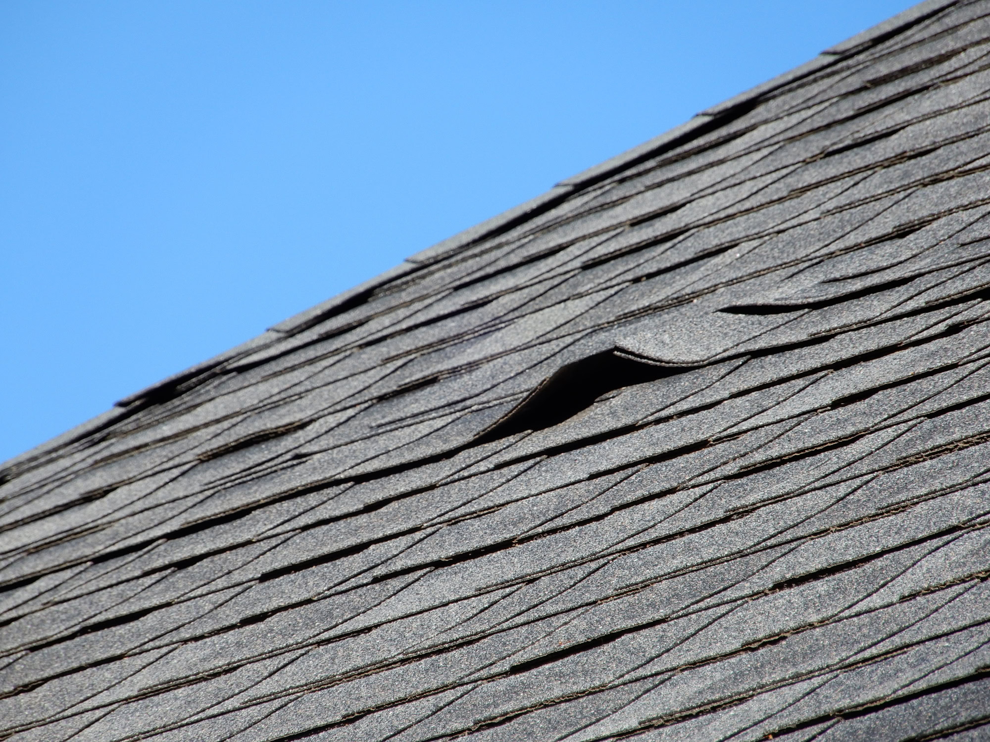 A shingle roof in need of repair in Lafayette.