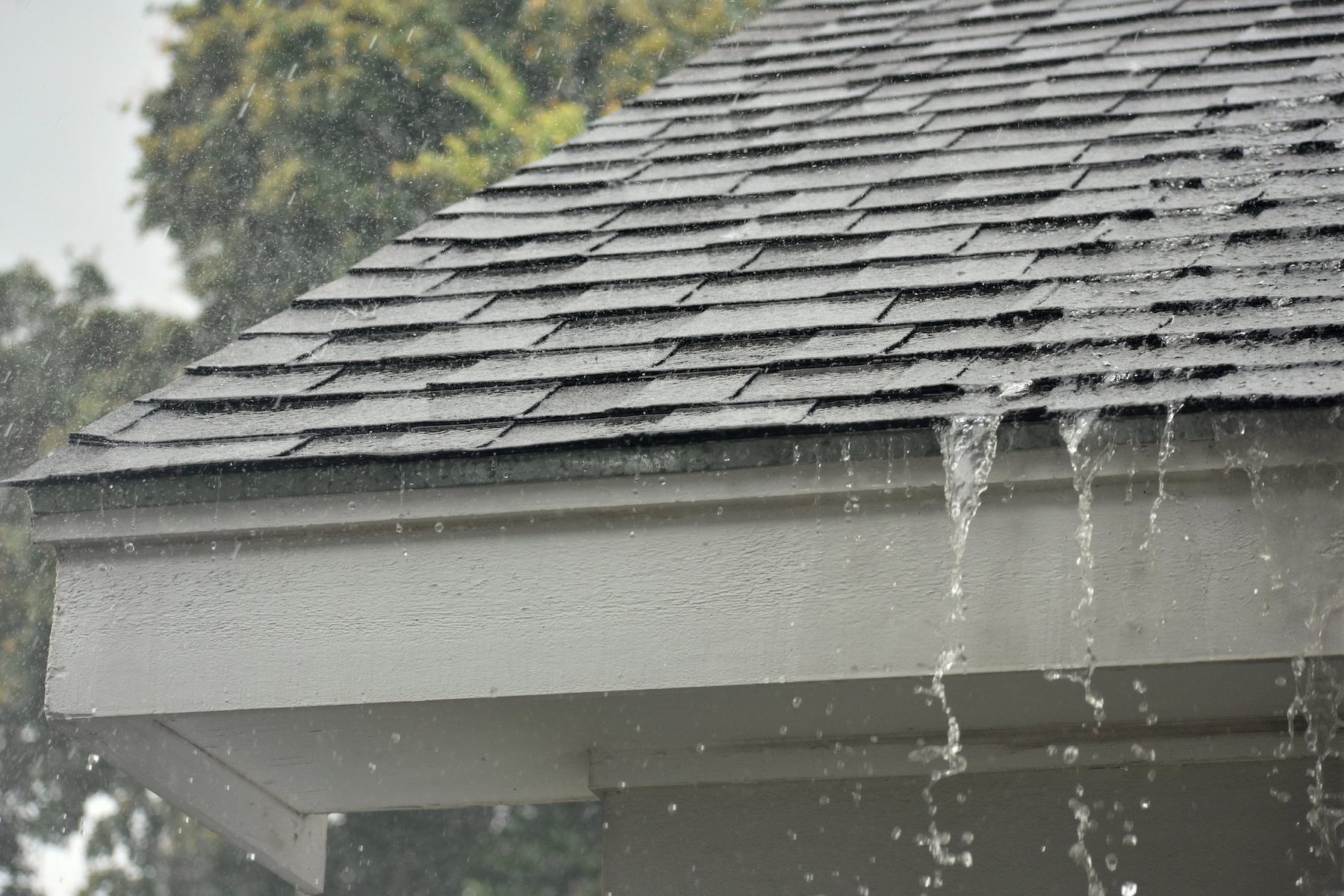 Asphalt shingle roof without gutters with rainwater pouring over edge
